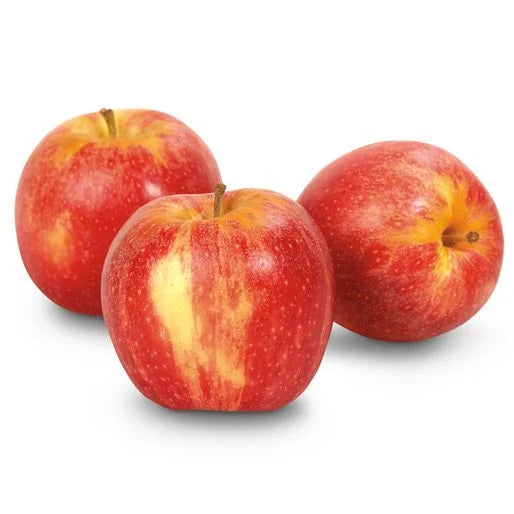 Gala Apple