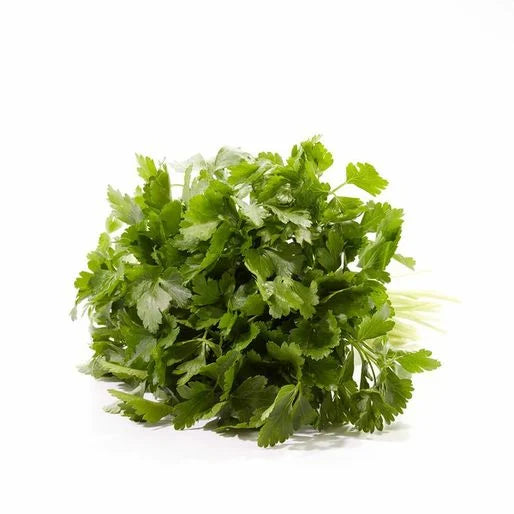 Italian Parsley